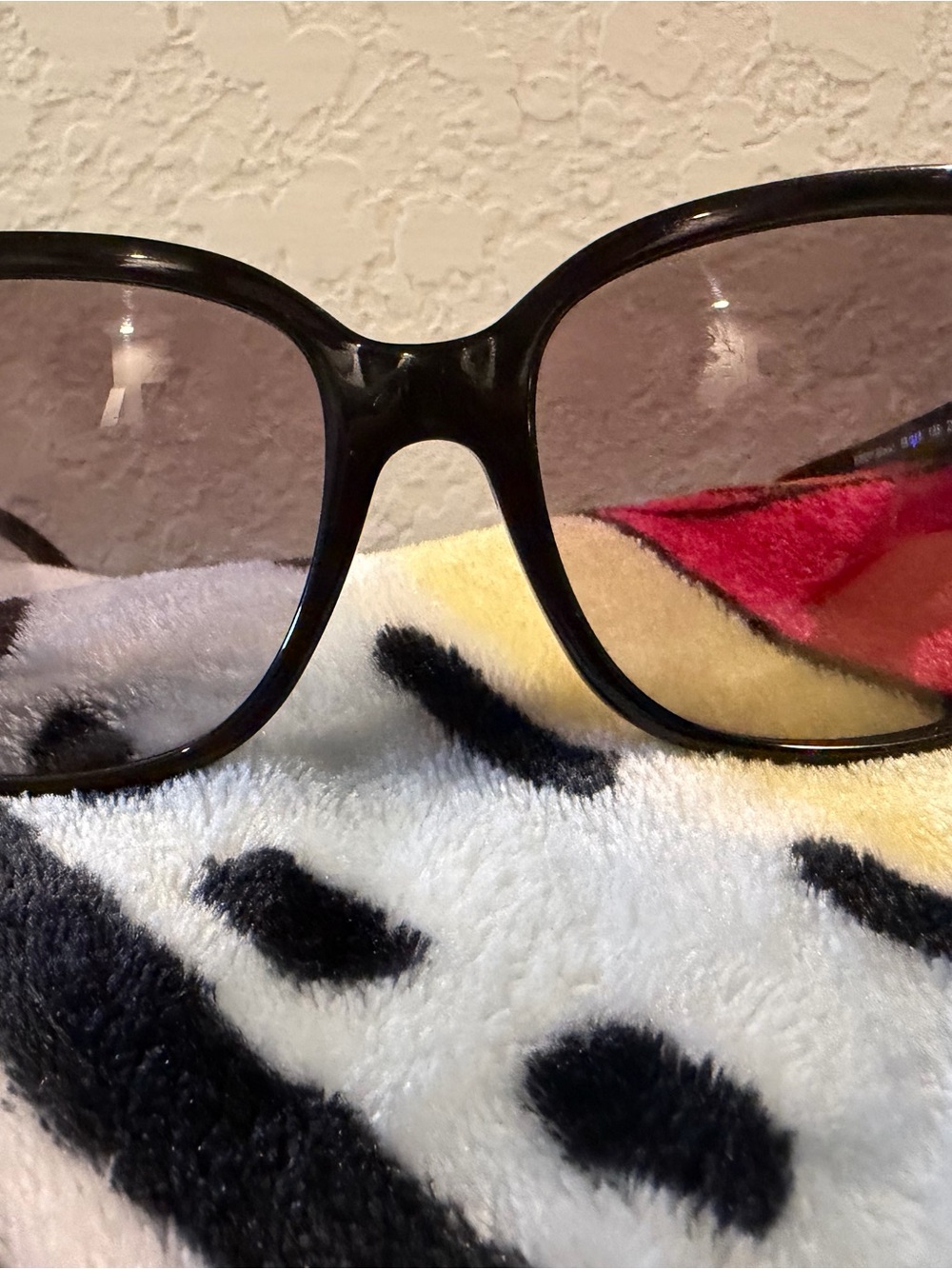 Coach buckle oversized sunglasses